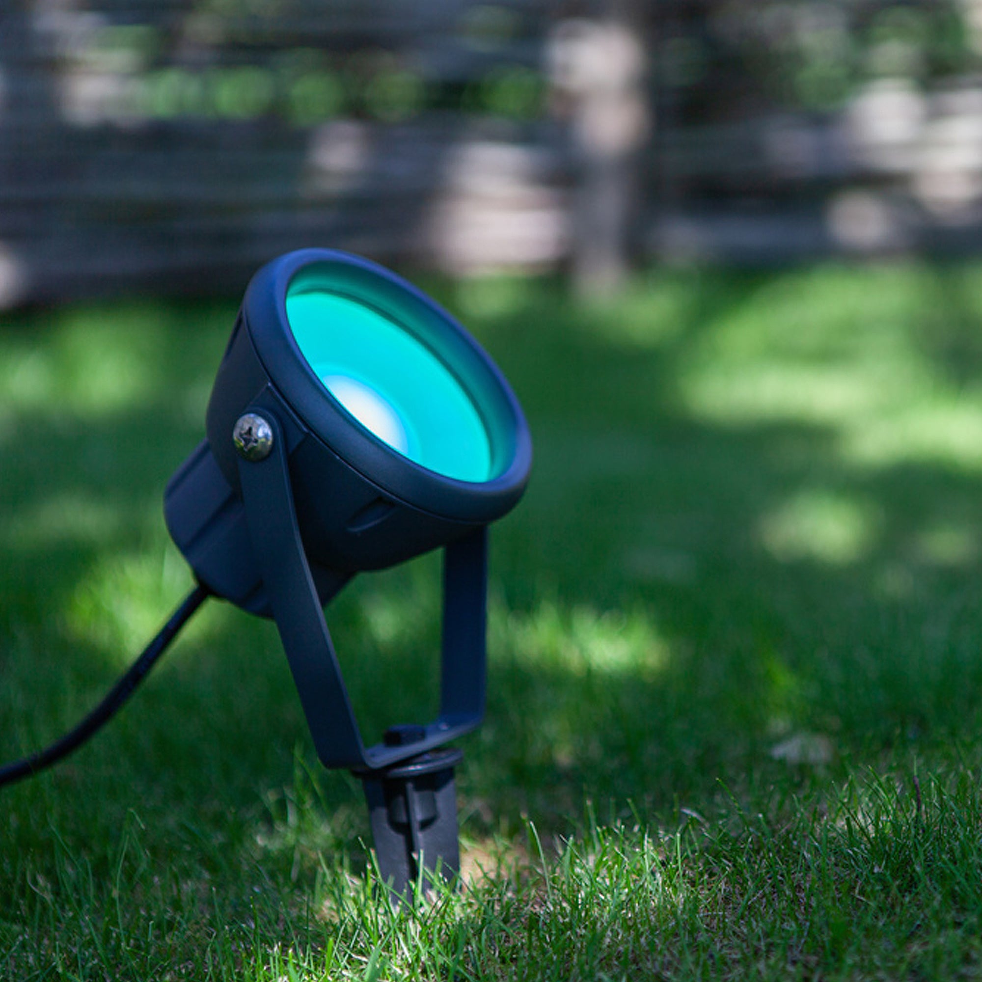 MINI LETO - Qactus - LED rasvjeta