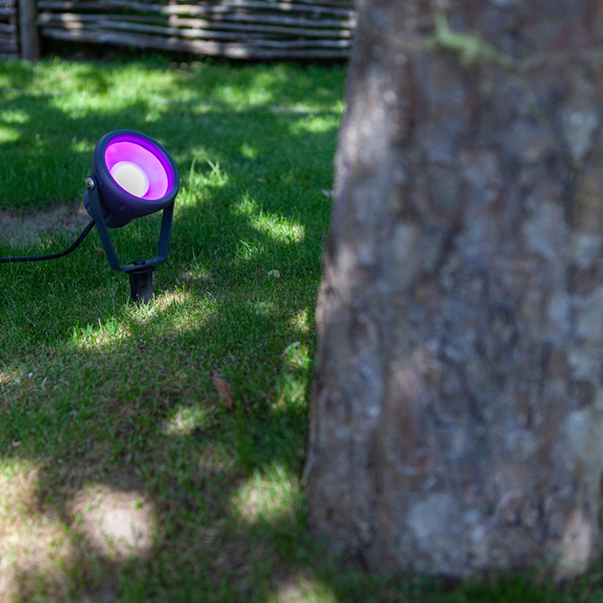 MINI LETO - Qactus - LED rasvjeta