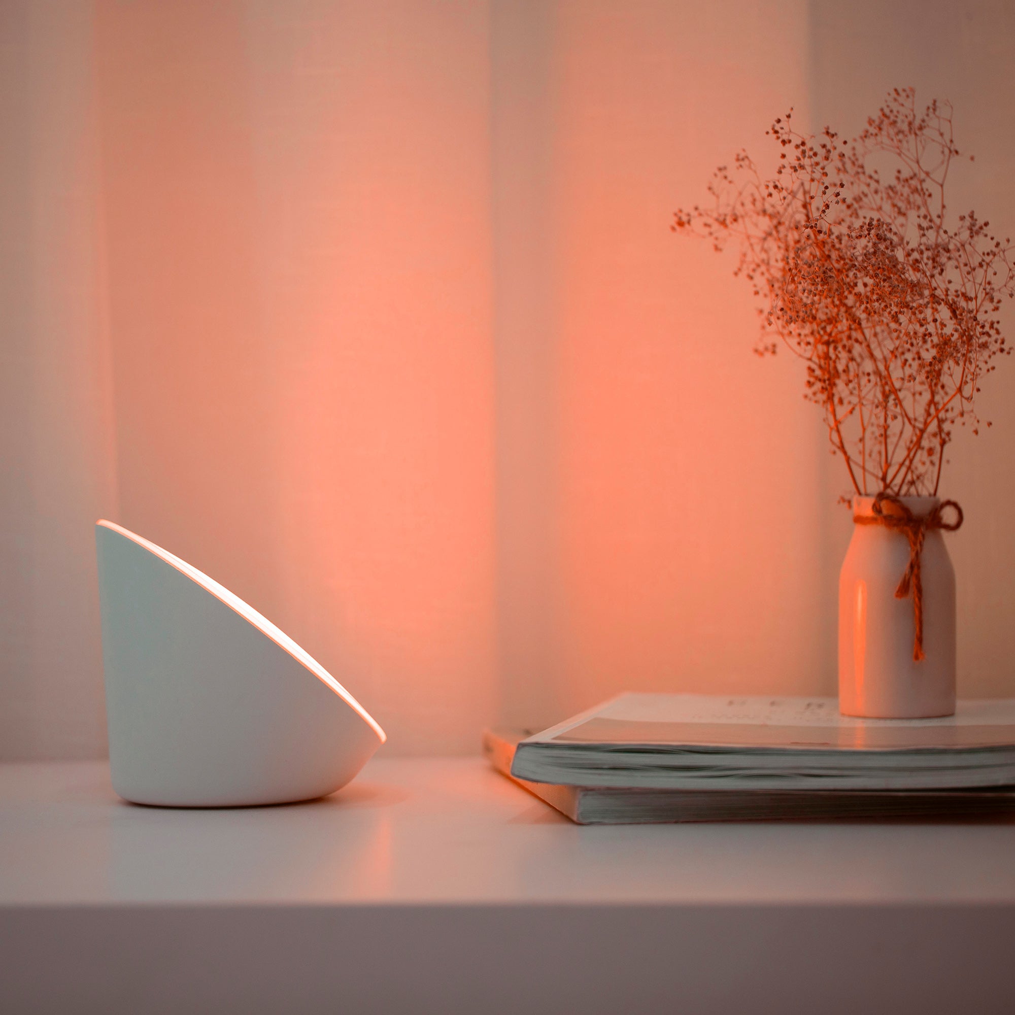 PIALA - Qactus - LED rasvjeta