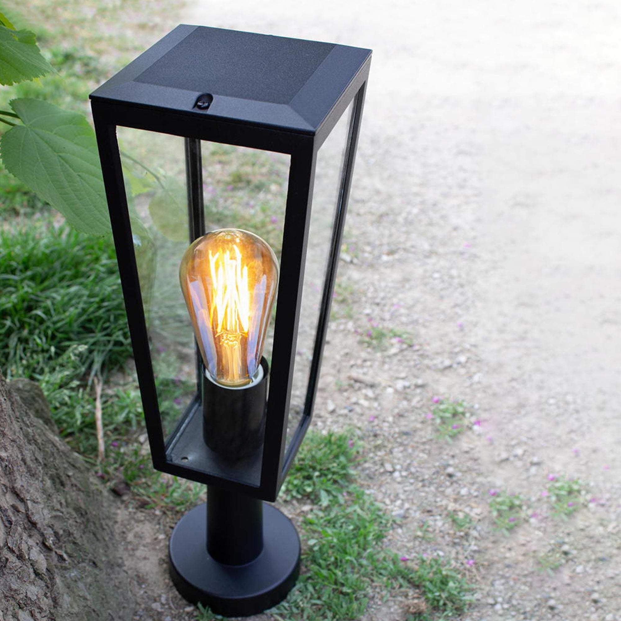 PINE - Qactus - LED rasvjeta