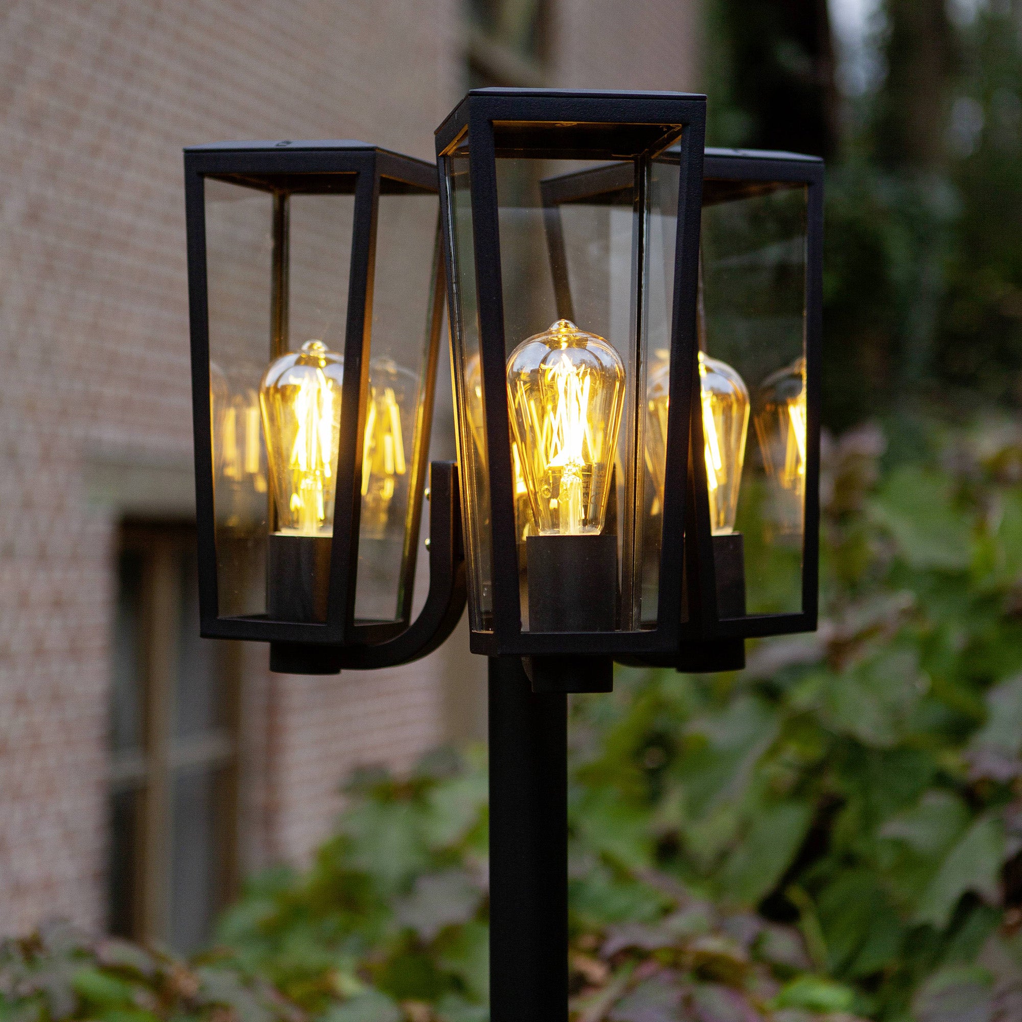 PINE - Qactus - LED rasvjeta