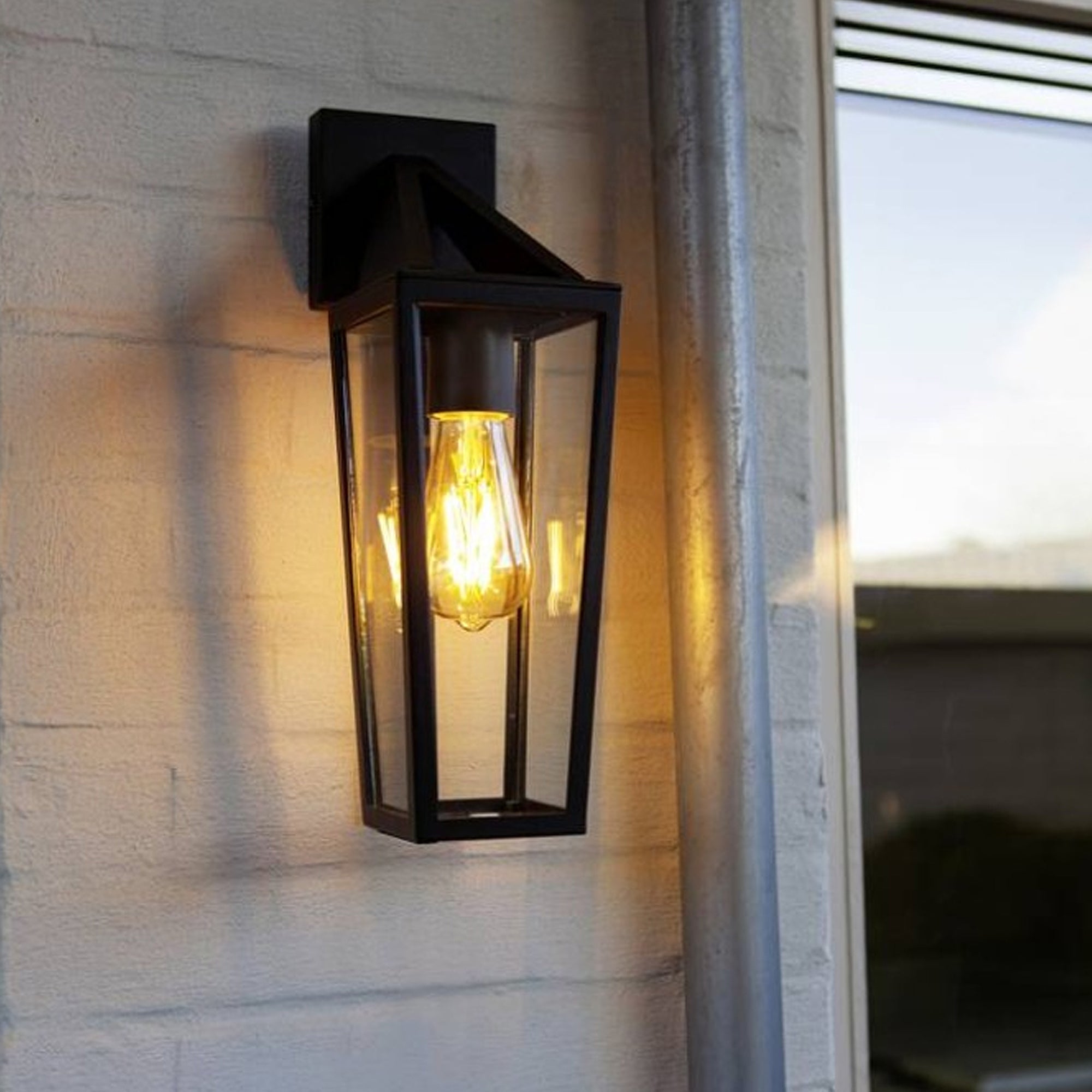 PINE - Qactus - LED rasvjeta
