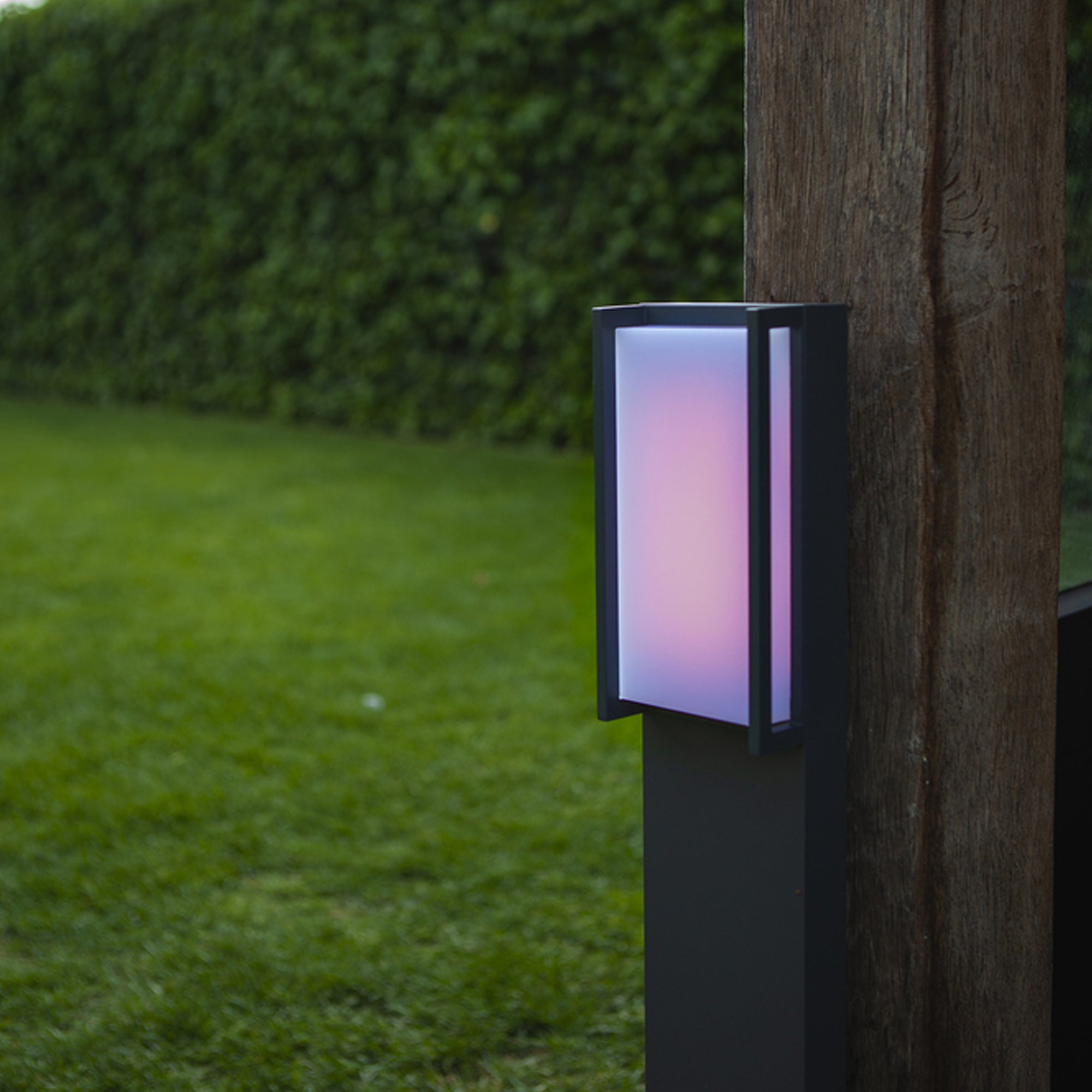 QUBO - Qactus - LED rasvjeta
