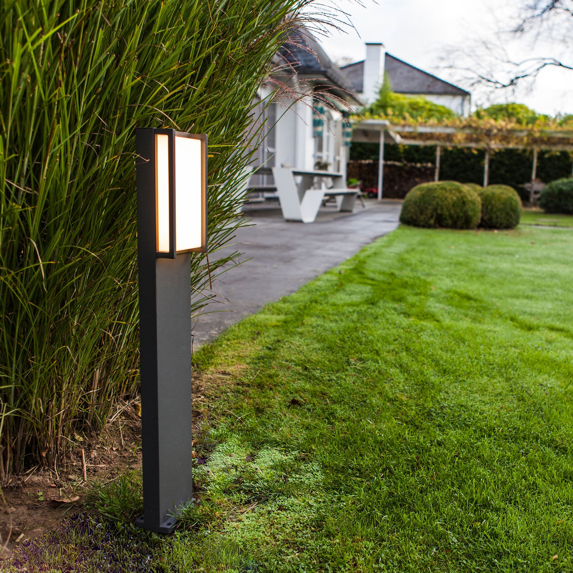 QUBO - Qactus - LED rasvjeta