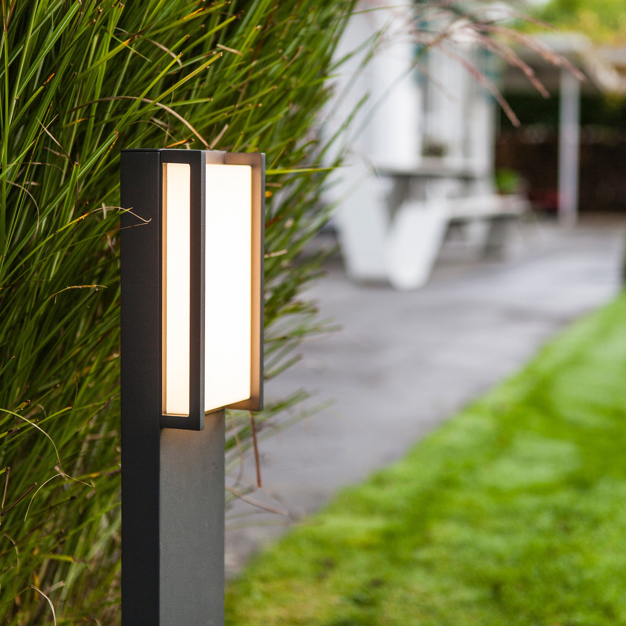 QUBO - Qactus - LED rasvjeta