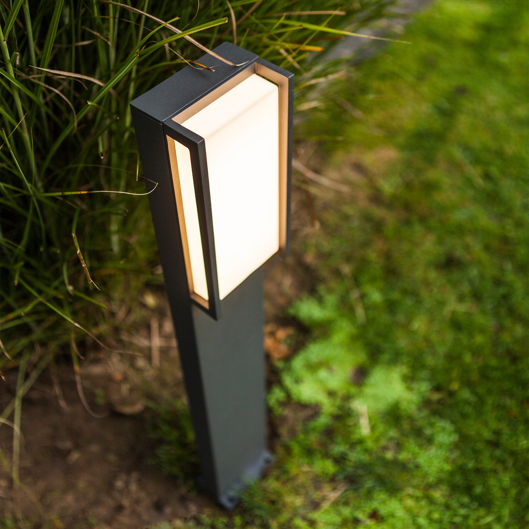 QUBO - Qactus - LED rasvjeta