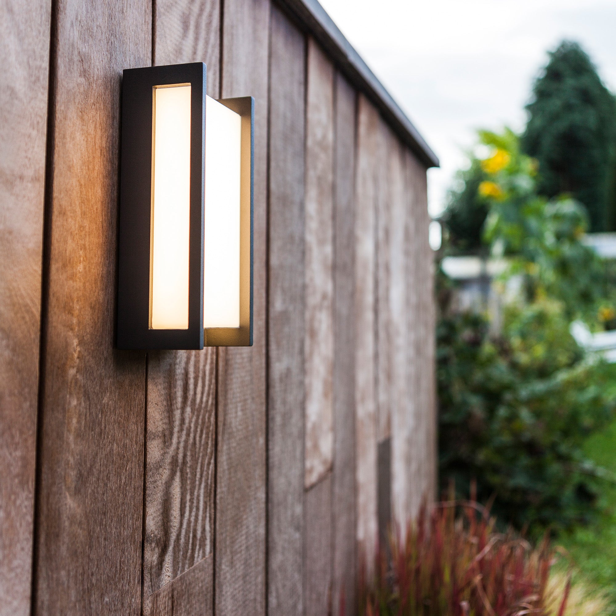 QUBO - Qactus - LED rasvjeta