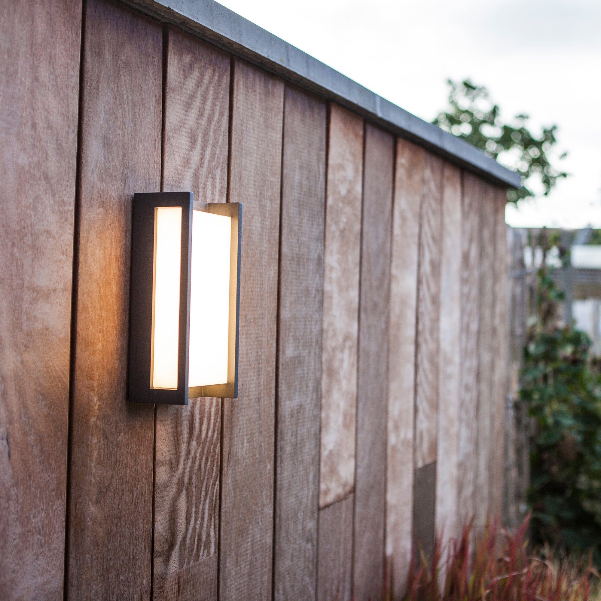 QUBO - Qactus - LED rasvjeta
