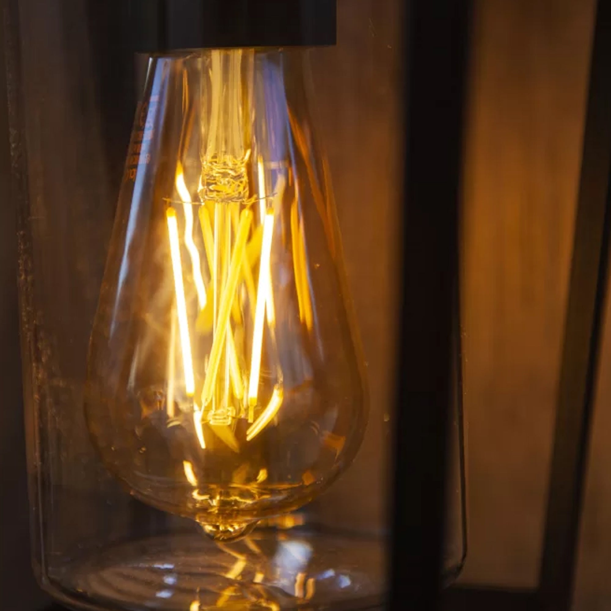 WEST - Qactus - LED rasvjeta