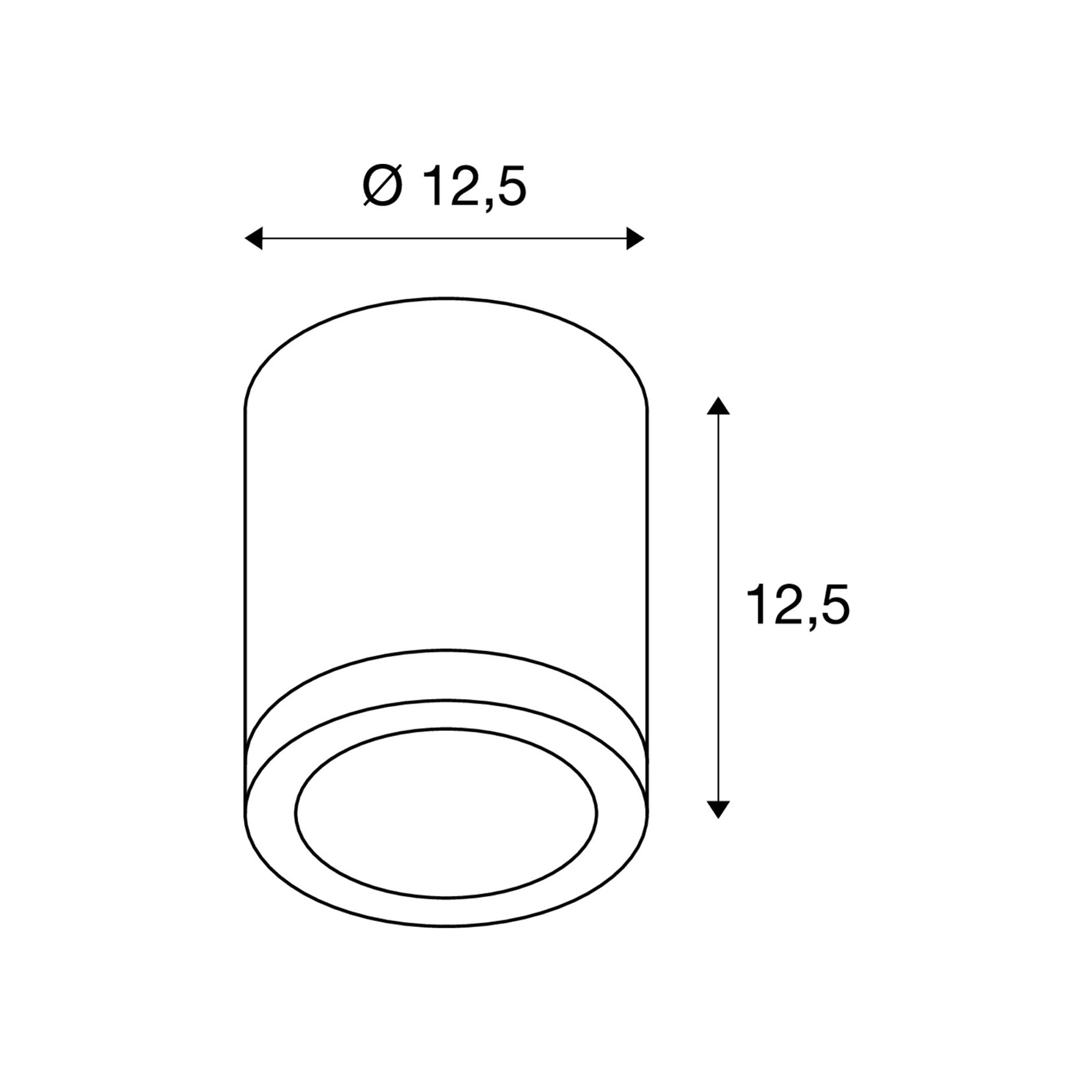 Stropna svjetiljka ROX, aluminij, 1xGU10, IP44
