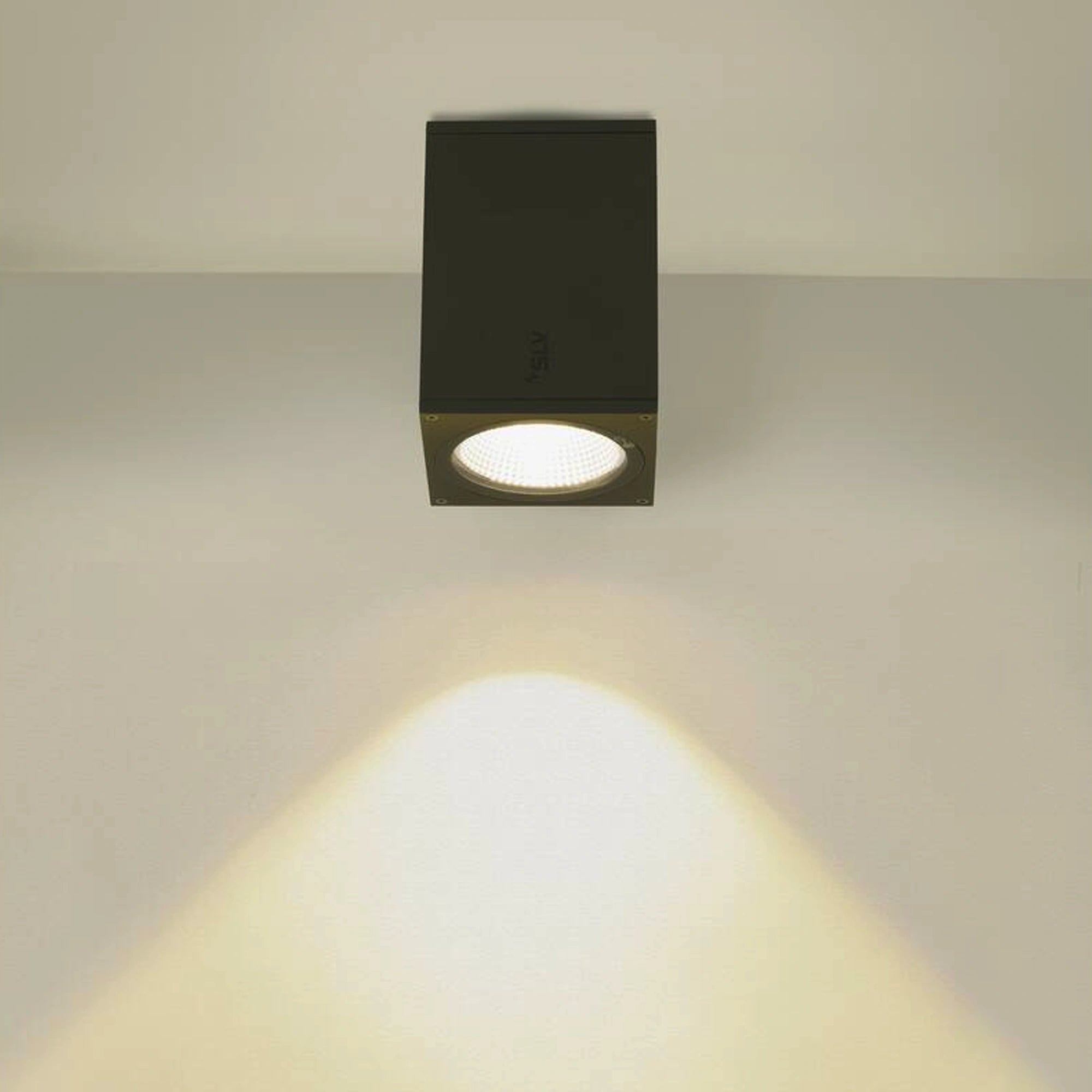 LED stropna svjetiljka ENOLA SQUARE M, antracit, 11W, 3000/4000K, IP65