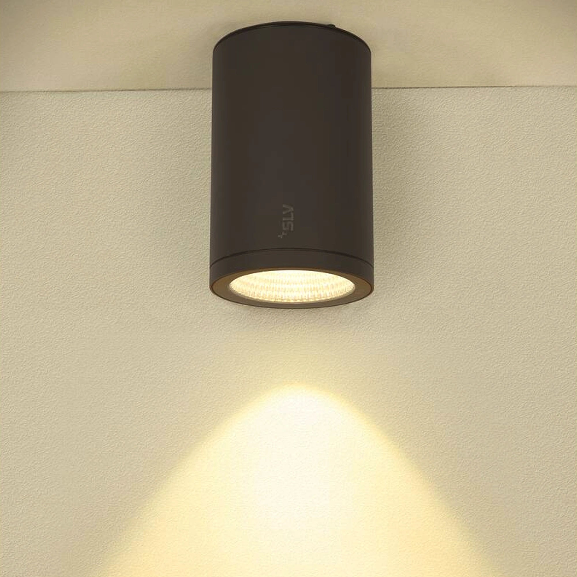 LED stropna svjetiljka ENOLA ROUND L, antracit, 36W, 3000/4000K, IP65