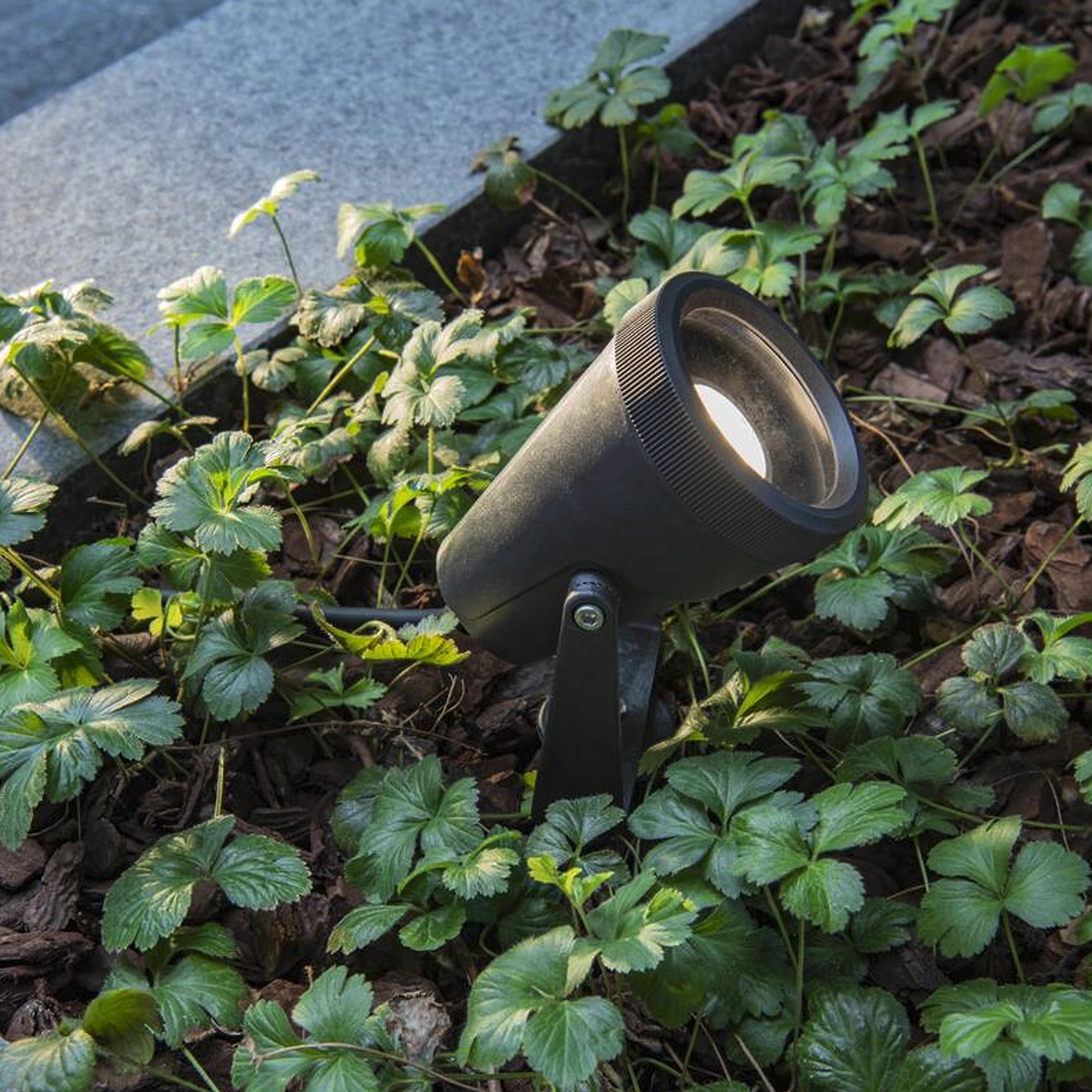 Vrtna spot svjetiljka SAMRINA, ubodna, crna, 1xGU10, IP65