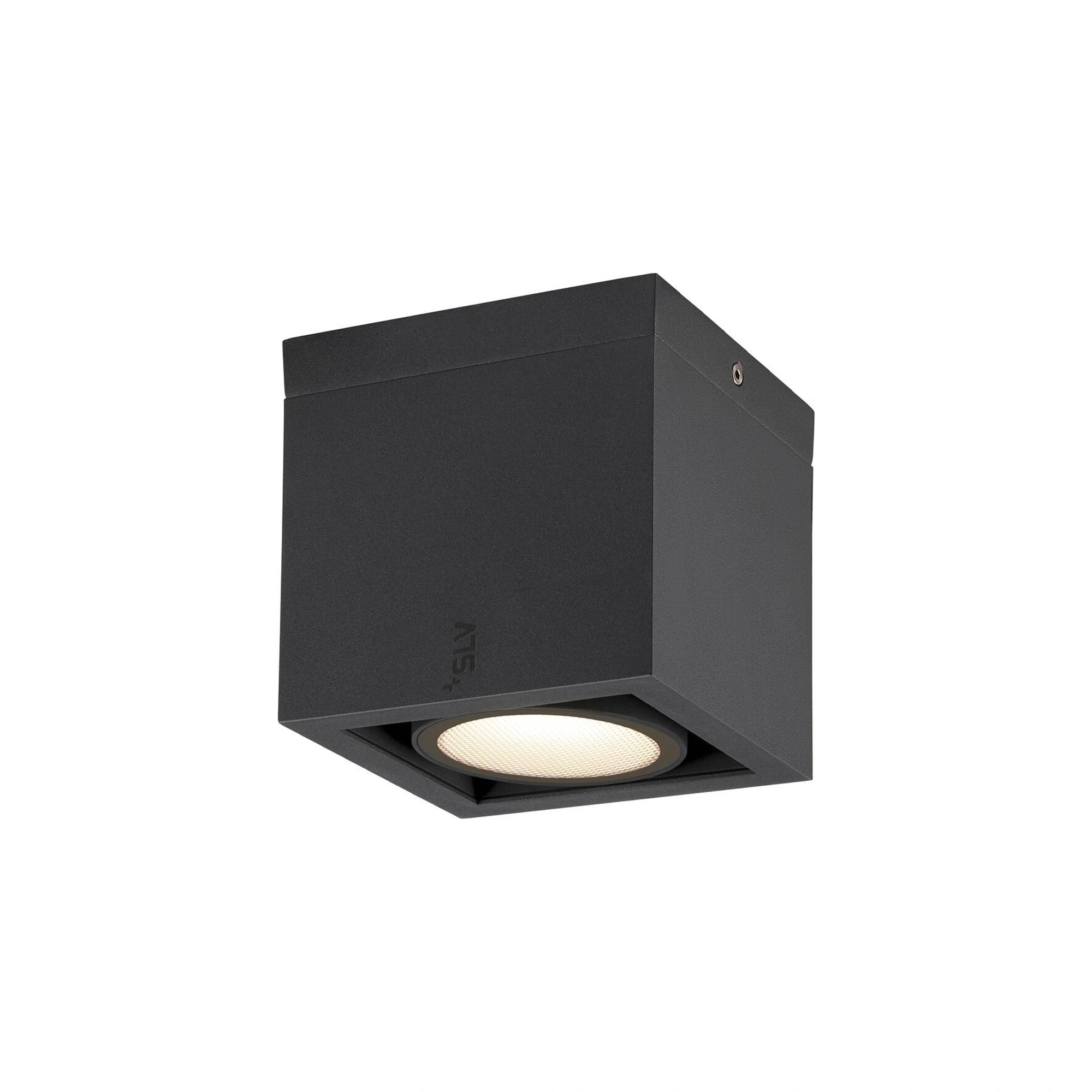 LED stropna svjetiljka ESKINA FRAME, antracit, 15W, 3000/4000K, IP65
