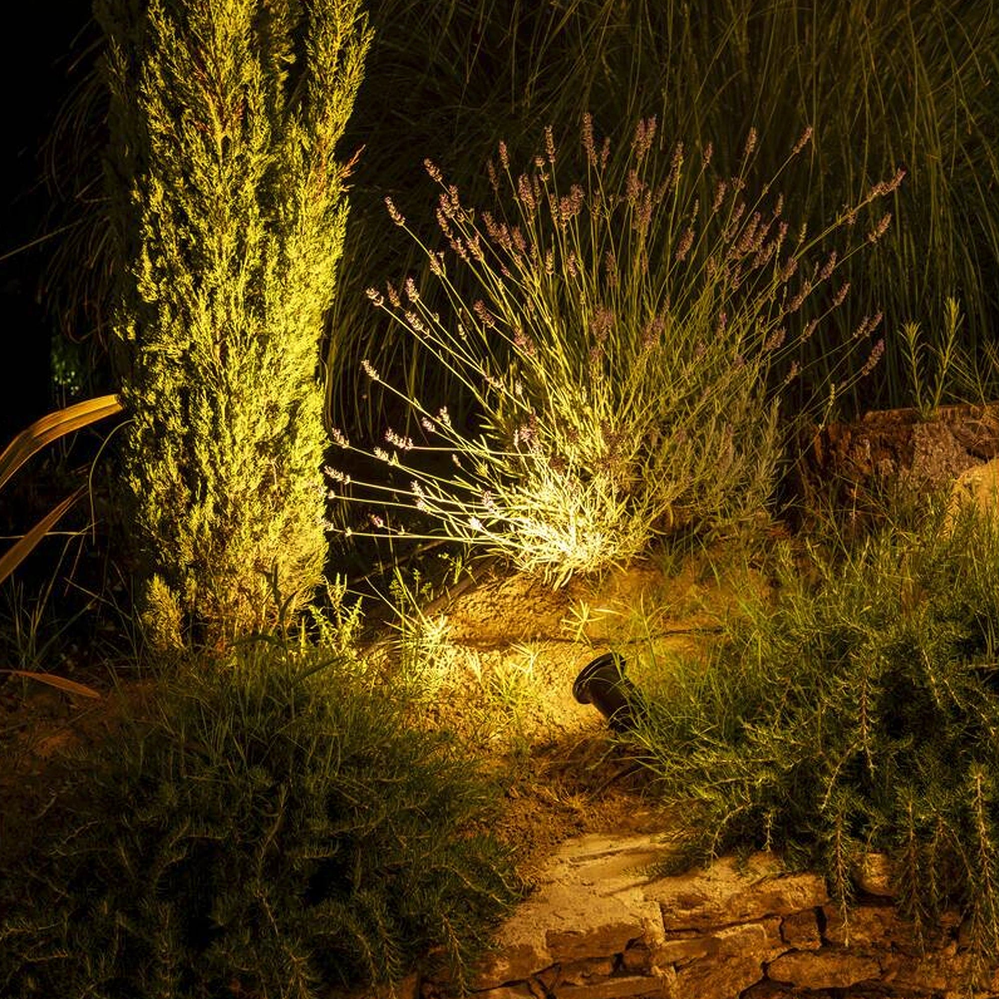 Vrtna spot svjetiljka BIG NAUTILUS, ubodna, crna, 1xGU10, IP44/IP65