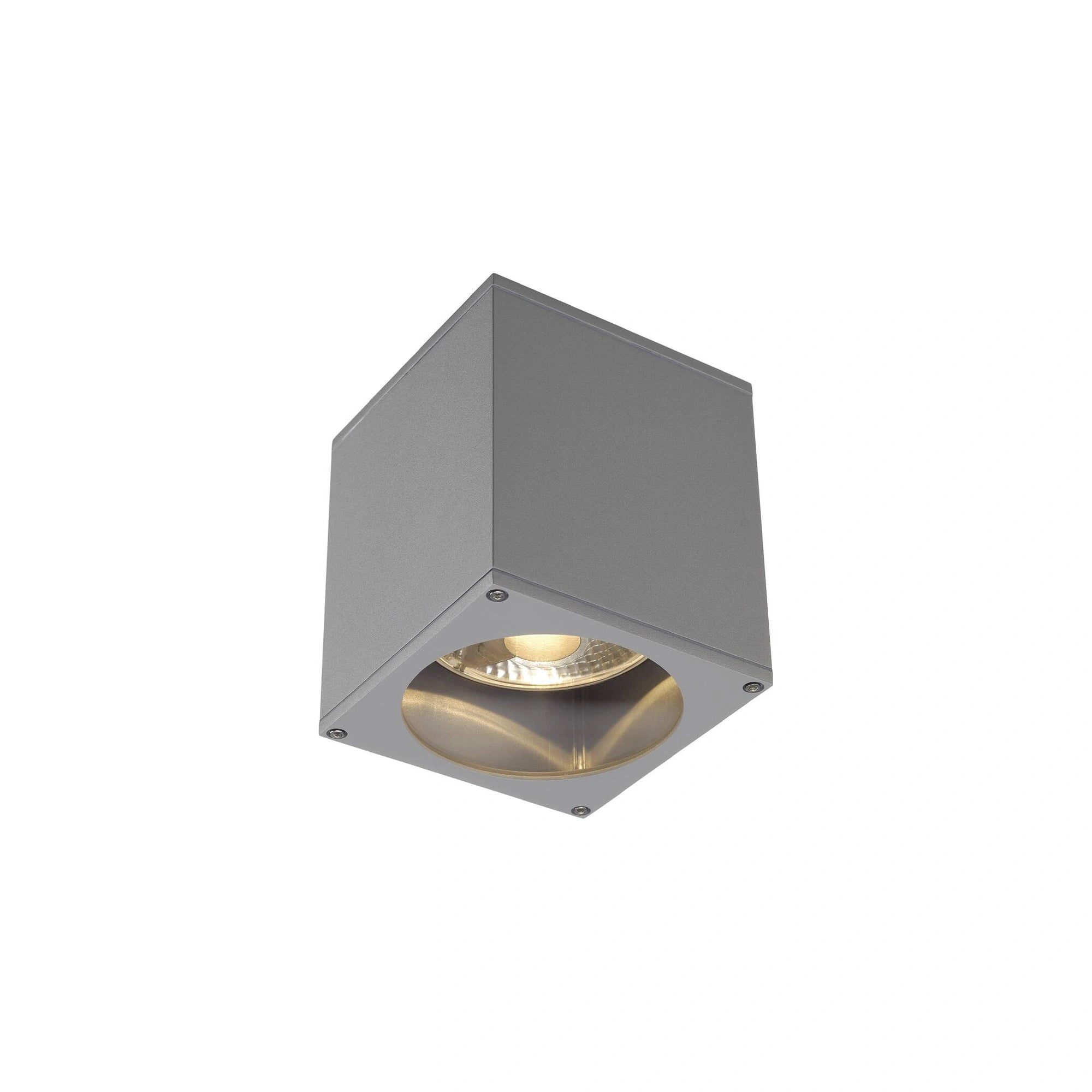 Stropna svjetiljka BIG THEO, siva, 1xGU10, IP44