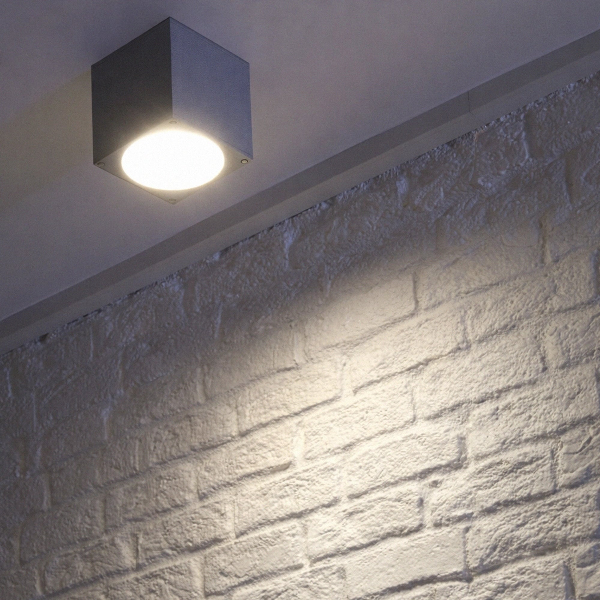 Stropna svjetiljka BIG THEO, siva, 1xGU10, IP44