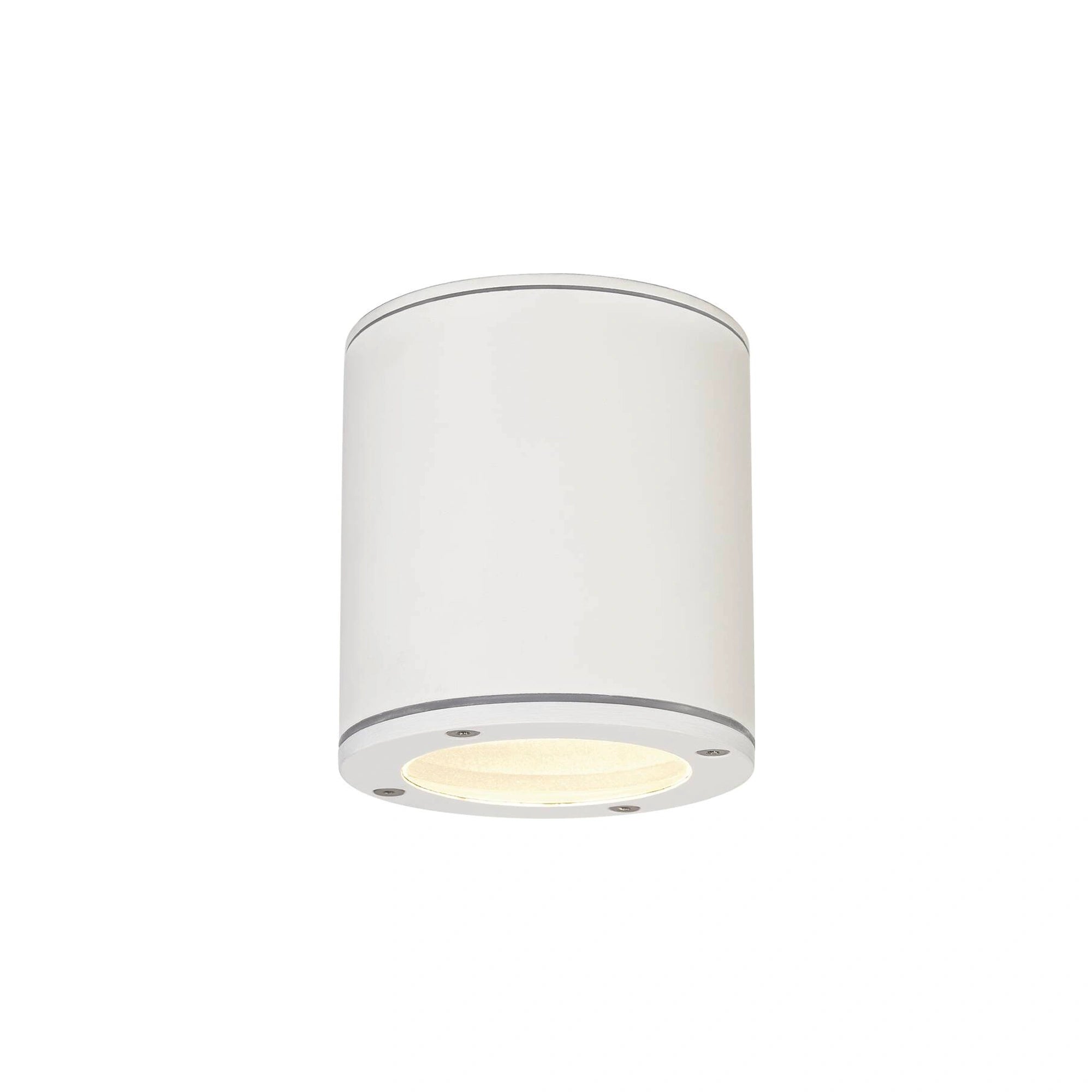 Stropna svjetiljka SITRA, bijela, 1xGX53, IP44