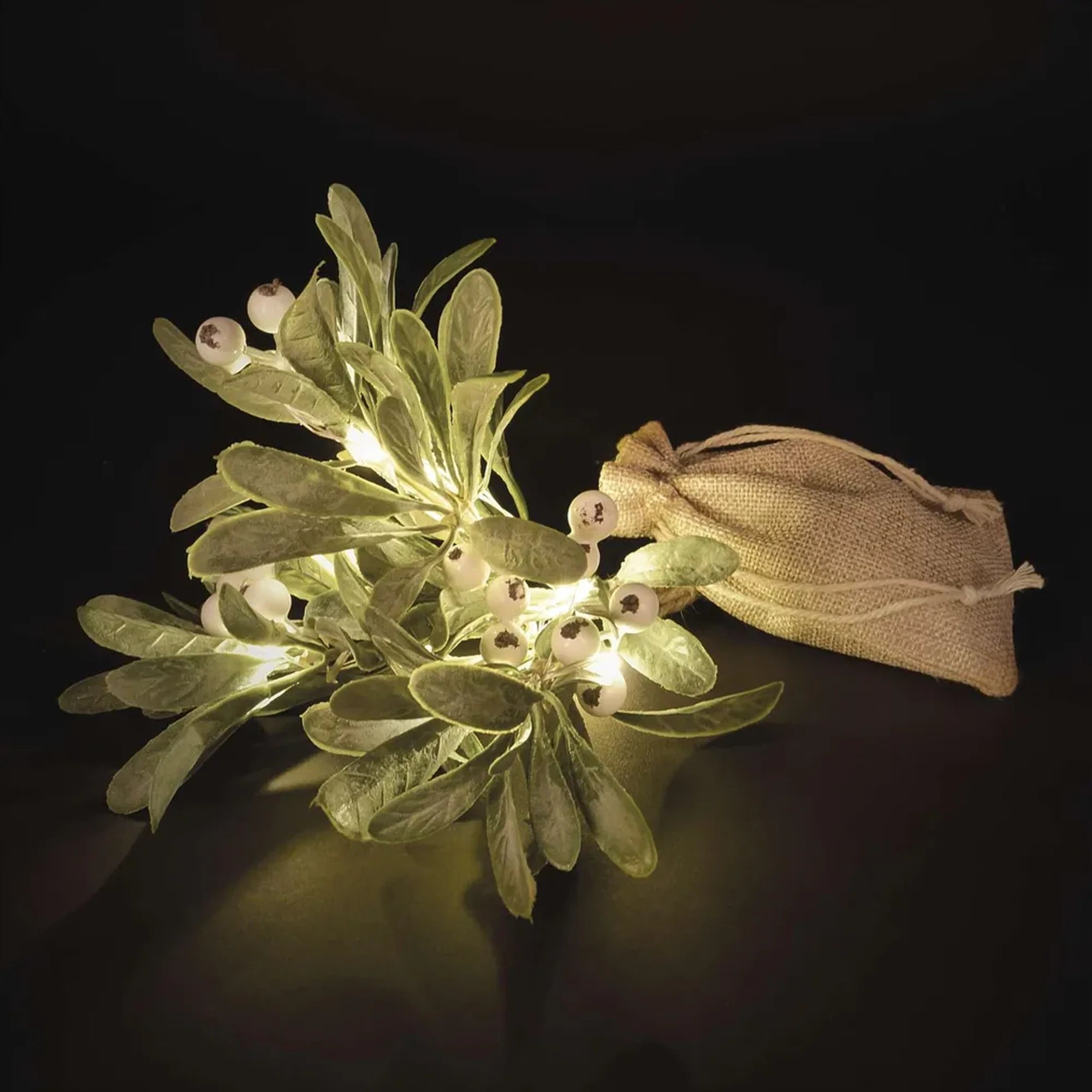 Božićna dekoracija, grančica imele, LED, toplo bijela, 2xAA, IP20, 30cm