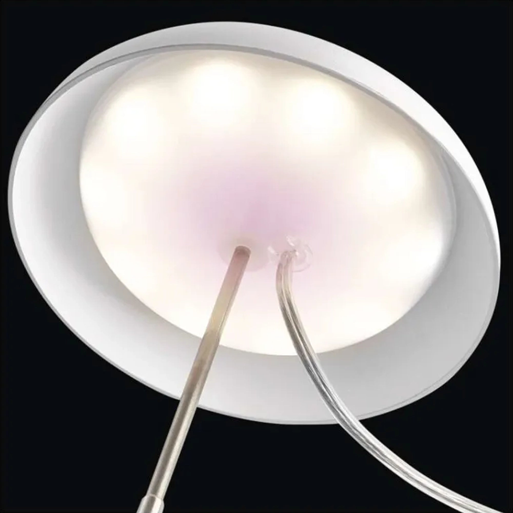 LED lampa za biljke GROW, bijela, 5W, 15 LED dioda, IP20
