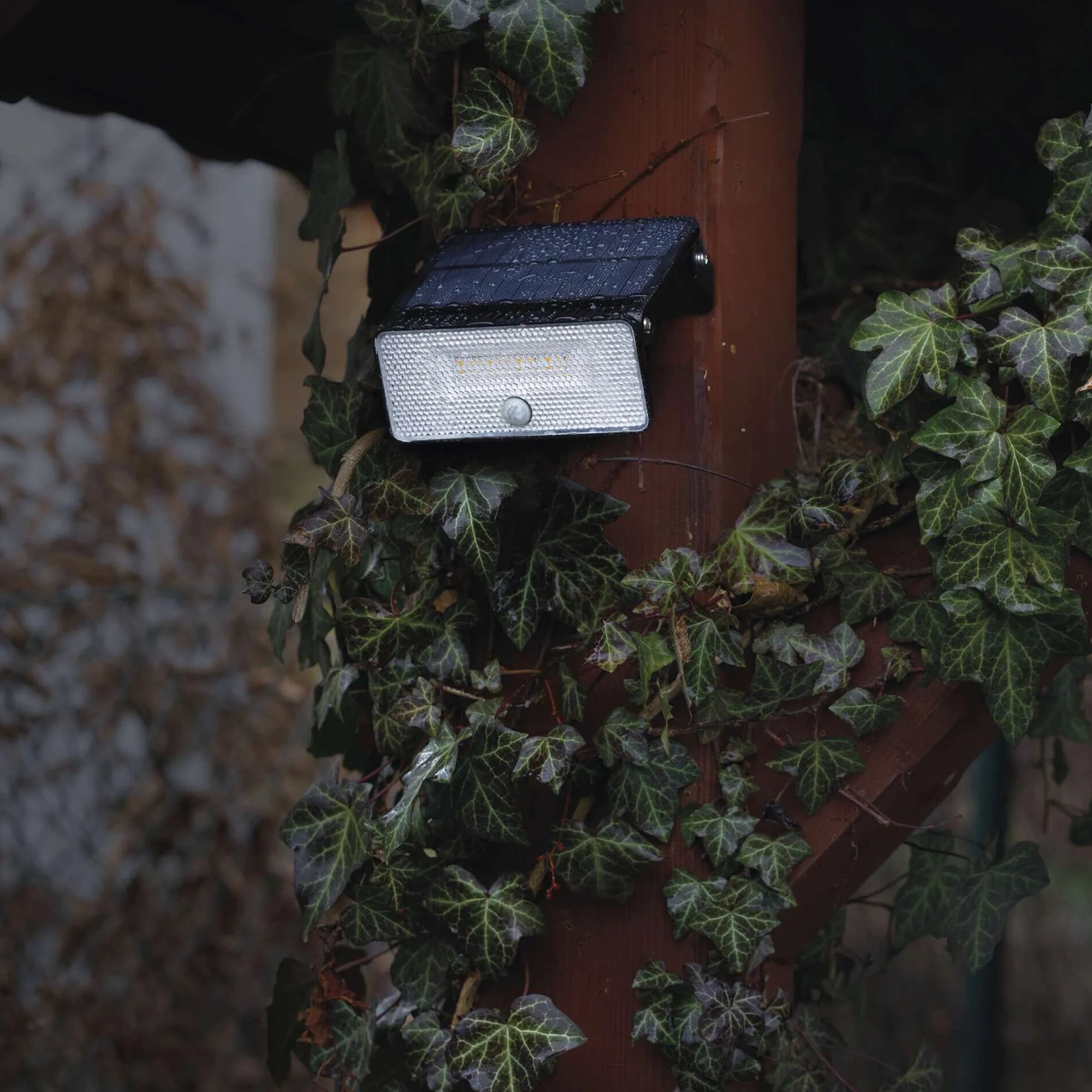SOLO LED solarni reflektor, senzor pokreta, crni, 4000K, IP54, 145mm