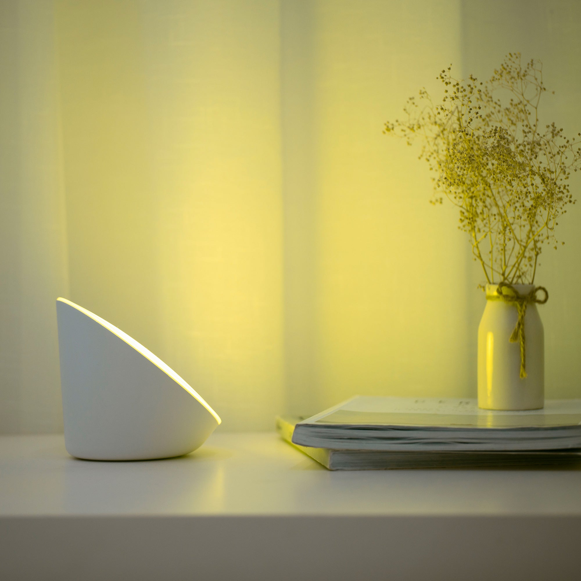 PIALA - Qactus - LED rasvjeta