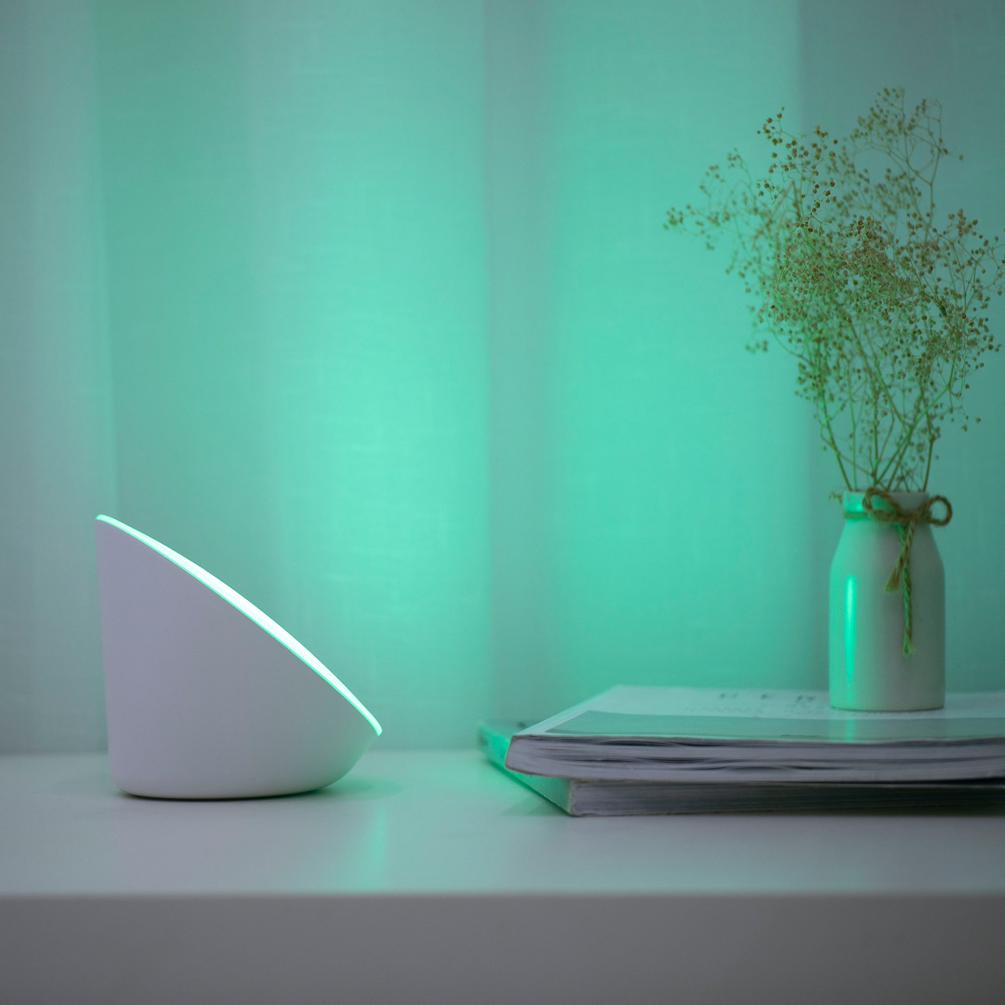PIALA - Qactus - LED rasvjeta