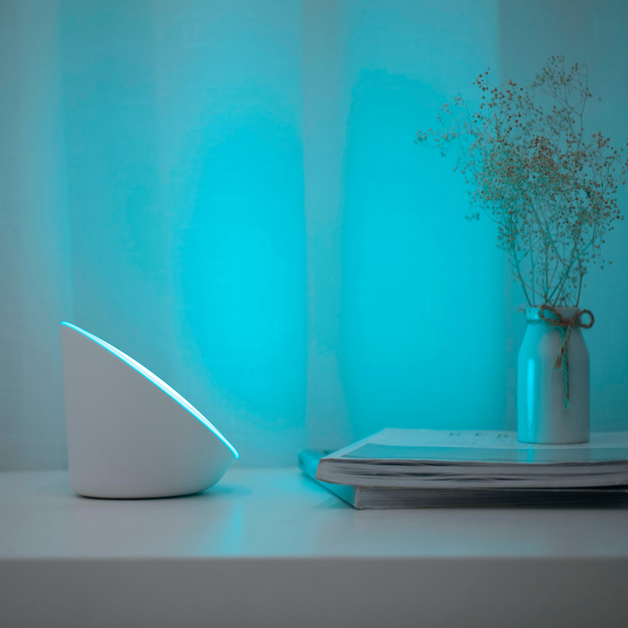 PIALA - Qactus - LED rasvjeta