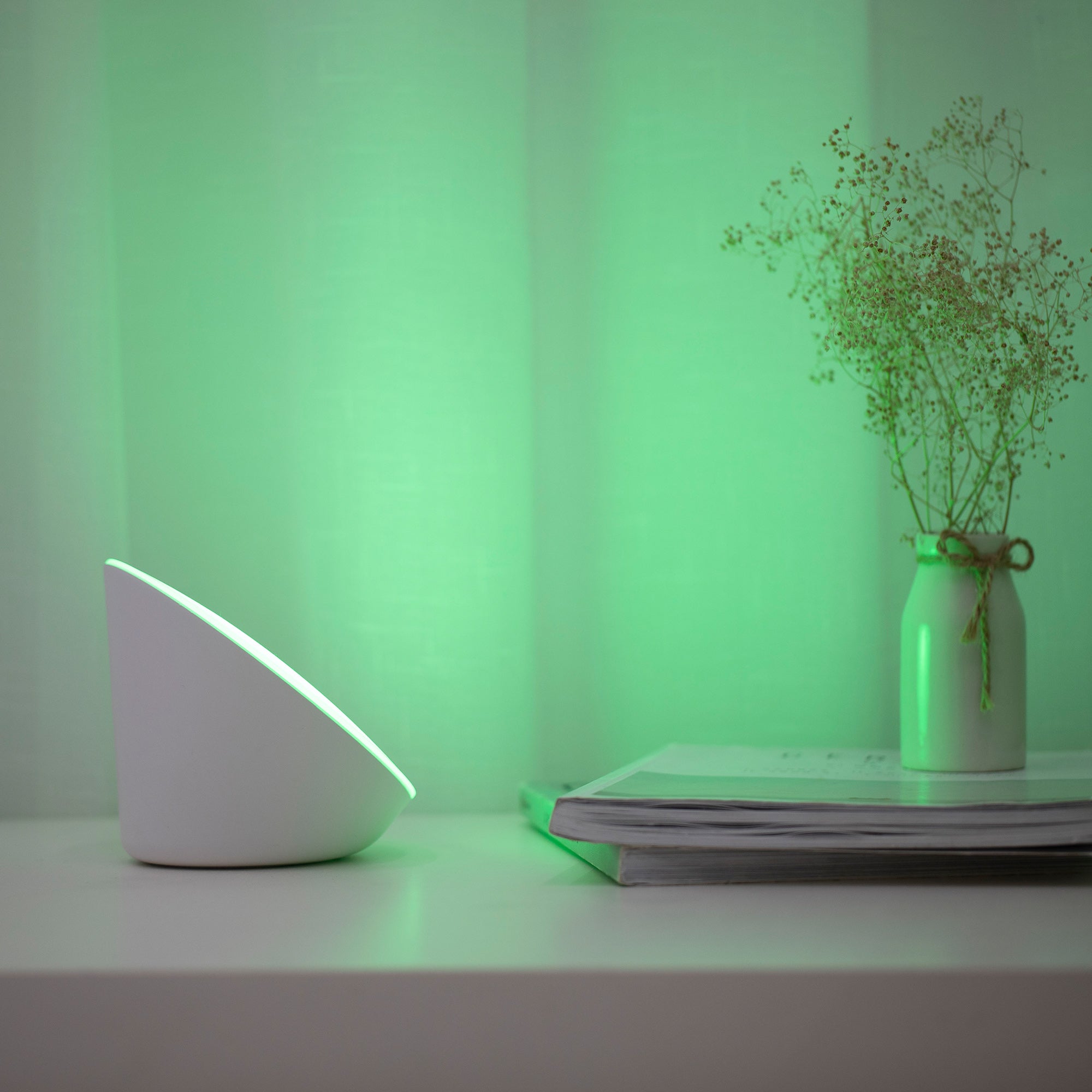 PIALA - Qactus - LED rasvjeta